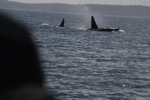 resIMG_20170710_125152_8272.JPG